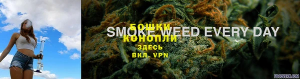 МДПВ Елизово