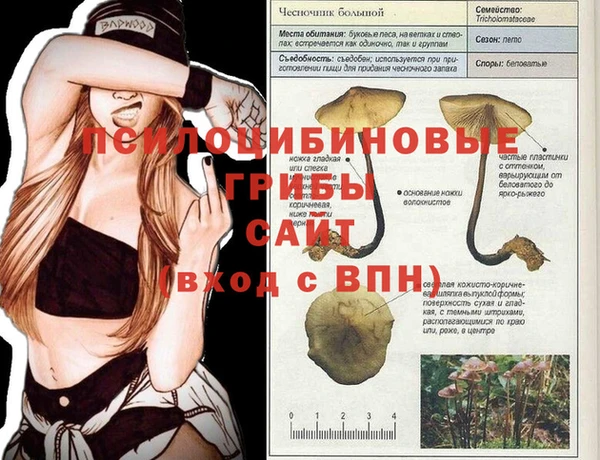 прущая мука Дмитровск