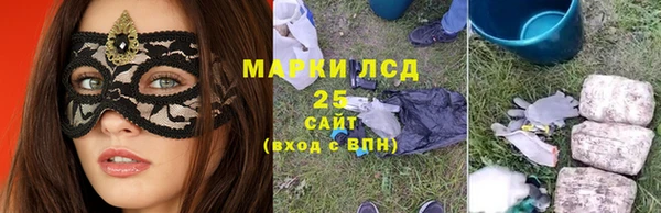 стафф Дмитриев