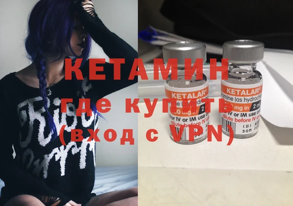 стафф Дмитриев
